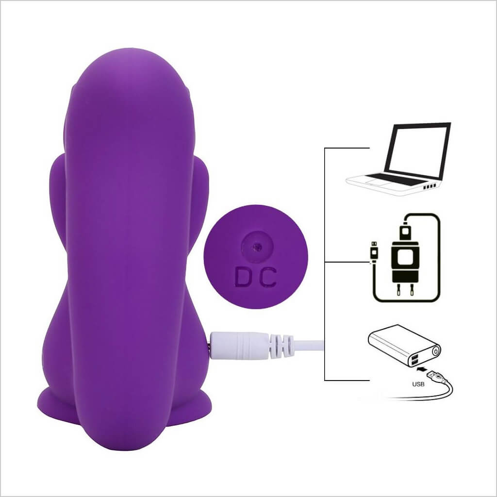 Squirrel Suction Vibrator Charging