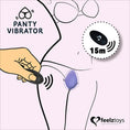 Load image into Gallery viewer, Panty Vibrator Feelztoys
